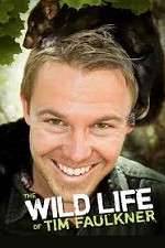 Watch The Wild Life of Tim Faulkner Freemovieswatch