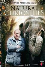 Watch Natural Curiosities Freemovieswatch