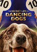 Watch The Secret Life of Dancing Dogs Freemovieswatch