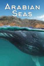 Watch Arabian Seas Freemovieswatch