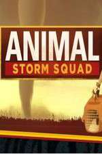 Watch Animal Storm Squad Freemovieswatch