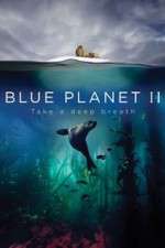 Watch Blue Planet II Freemovieswatch