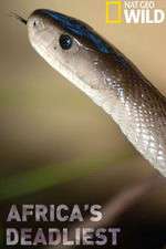Watch Africas Deadliest Freemovieswatch