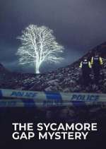 Watch The Sycamore Gap Tree Mystery Freemovieswatch