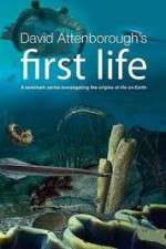 Watch David Attenborough's First Life Freemovieswatch