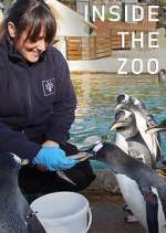 Watch Inside the Zoo Freemovieswatch