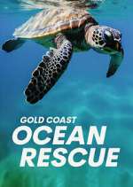 Watch Gold Coast Ocean Rescue Freemovieswatch