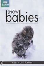 Watch Snow Babies Freemovieswatch