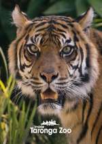 Watch Inside Taronga Zoo Freemovieswatch