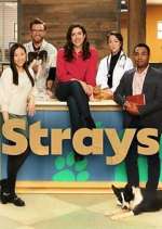 Watch Strays Freemovieswatch