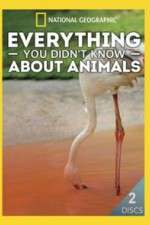 Watch Everything You Didnt Know About Animals Freemovieswatch