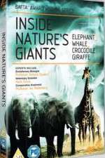 Watch Inside Nature's Giants Freemovieswatch
