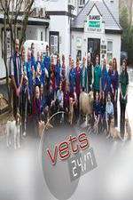 Watch Vets 24/7 Freemovieswatch