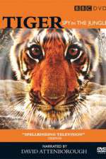 Watch Tiger: Spy in the Jungle Freemovieswatch