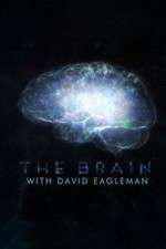 Watch The Brain with Dr David Eagleman Freemovieswatch