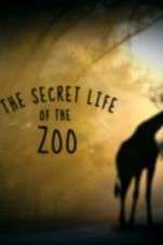 Watch The Secret Life of the Zoo Freemovieswatch