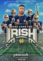 Watch Here Come The Irish Freemovieswatch
