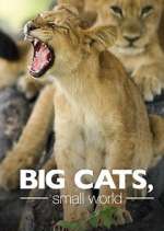 Watch Big Cats, Small World Freemovieswatch