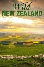 Watch Wild New Zealand Freemovieswatch